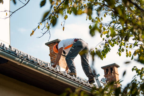 Best Slate Roofing Contractor  in Opp, AL
