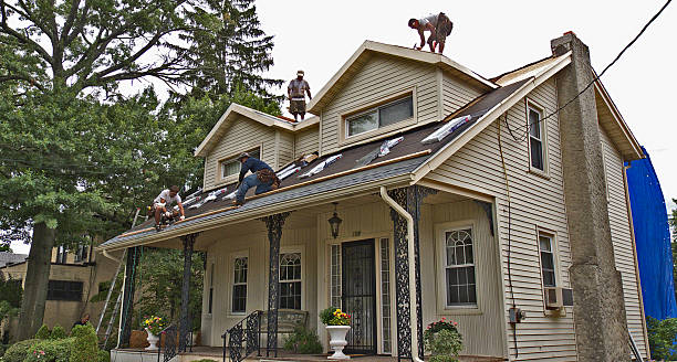 Best Metal Roofing Contractor  in Opp, AL